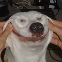 jj_00