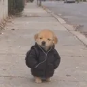 hsaddwaded