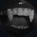 _zillakami_