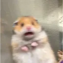 bleh.1098