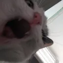 stoffig