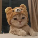 rpoppy