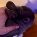 mqno
