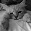 avatar Will be back in 2 days