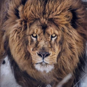 alswizzo#0074's avatar