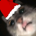 avatar CatlikeBrute463