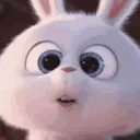 xxoxoo11