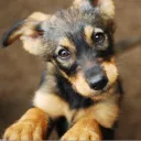 naveenak