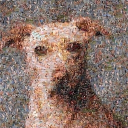 LØBØ