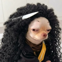 Discord Avatar