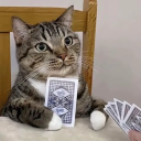 avatar the real sportal