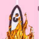 holala13