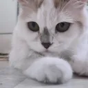 rwaww
