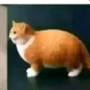kimaa_