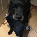 ronja2210