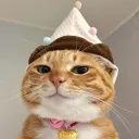 rodenasink