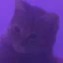 skullyb0nes