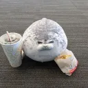 derlih