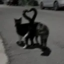 peukiii
