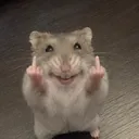 luccabassoli