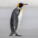 hatethisthingy