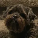 kiwi07211