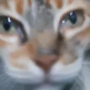 mr.white2270 avatar