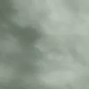 nobodynose_._
