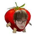 reegulus