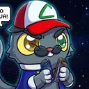 gata_amaldicoada