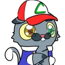 gata_amaldicoada