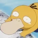 chocopyoko