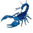 skorpion0066