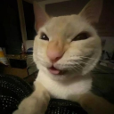 avatar karinaaa. | order di bio!