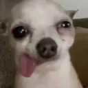 k_lips