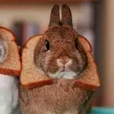 .xxbun_bunxx.