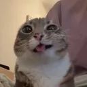 opiumyuno