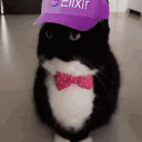 sushy.dev
