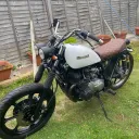 shane9134