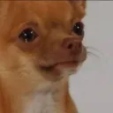 ryzedz