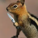 bishbashboush