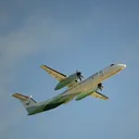 dziugaskrs