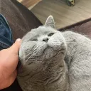 pieeterr