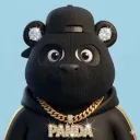 icyheist