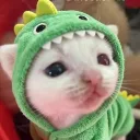pomfishee