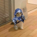 avatar Meddy
