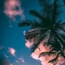 tr3v0r3729
