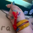 traumpfoetchen