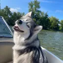kingcoolsimba