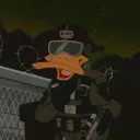 markodzik